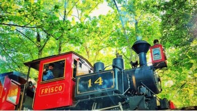 FRISCO 14 train journeys through Silver Dollar City’s sunlit green woods, bringing classic coaster thrills to theme park fans.