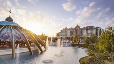 wide view of Celestial Park and carousel in Universal's Epic Universe theme park. Theme Park Injury Report 2026
