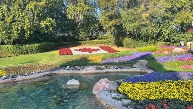 Vibrant garden shaped like the Canadian flag welcomes guests, with colorful blossoms and a scenic pond at the entrance.