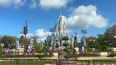 Cinderella Castle at Disney World, surrounded by guests, lush gardens, Tomorrowland rocks, and painters adding fresh Disney magic.
