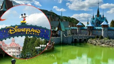 Step through the iconic Disneyland Paris gates with Mickey Mouse, framed by the magical castle and sparkling green pond.