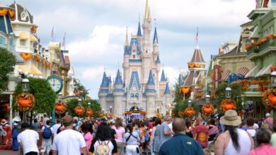 Guests stroll along Main Street USA toward Cinderella Castle at Magic Kingdom Park, decorated for Halloween/fall