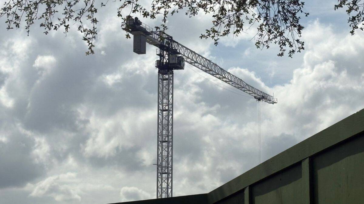 A construction crane towers over trees and a fence as Animal Kingdom builds the exciting new Tropical Americas Land.