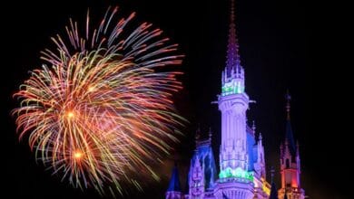 Fireworks above Cinderella Castle at Tokyo Disney Resort