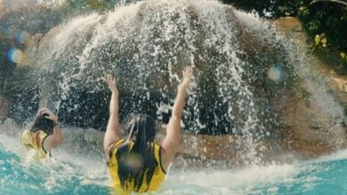 Guests at Discovery Cove raise their arms in excitement as they splash under the iconic waterfall, capturing summer fun in action.