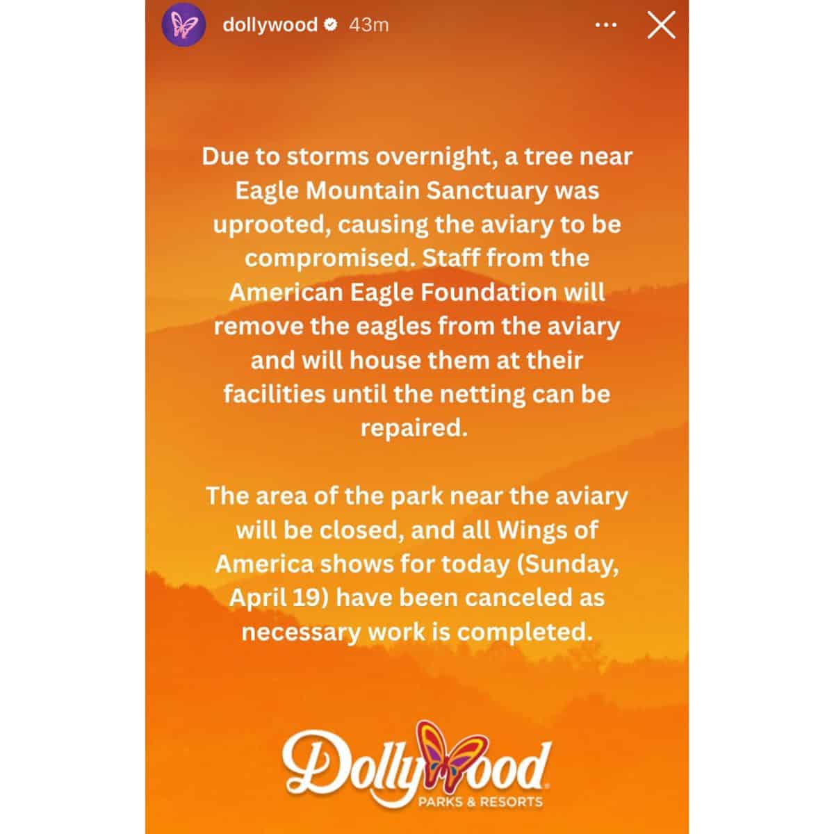 Dollywood announces the closure of areas near the Eagle Mountain Sanctuary and cancels Wings of America shows on April 19