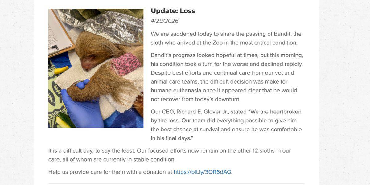 A Central Florida Zoo vet gently soothes a sloth on the exam table after sharing news of the baby sloth’s passing.
