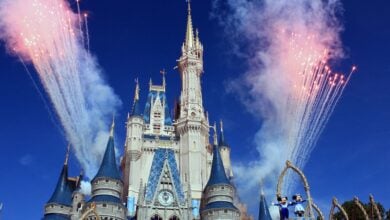 cinderella castle fireworks in magic kingdom