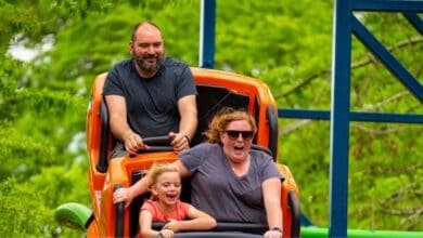 Guests laugh and smile as they race along Wildcat at Six Flags Over Georgia, surrounded by lush trees and blue sky.