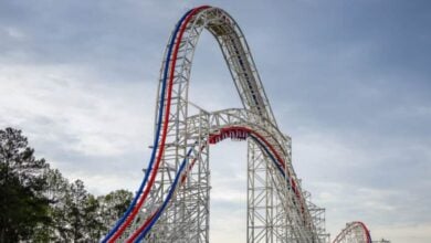 Thrilling roller coaster with red, white, and blue tracks soars above the park, framed by lush trees and dramatic clouds.