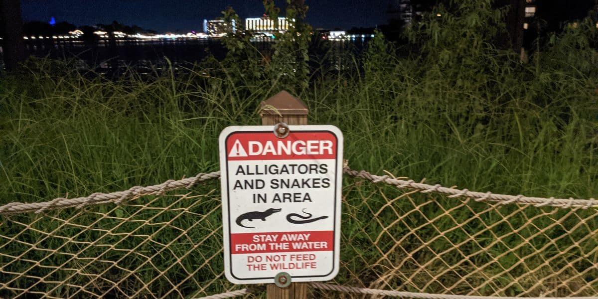 Warning sign at Disney World lakeside warns guests: "Danger! Alligators and snakes. Stay away from water. Donāt feed wildlife.