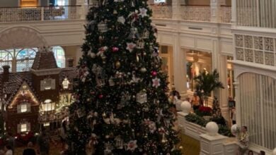 The Christmas tree at gingerbread house in the Grand Floridian lobby