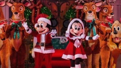 Mickey Mouse and Minnie in Christmas attire during Christmas Party at Disney World's Magic Kingdom