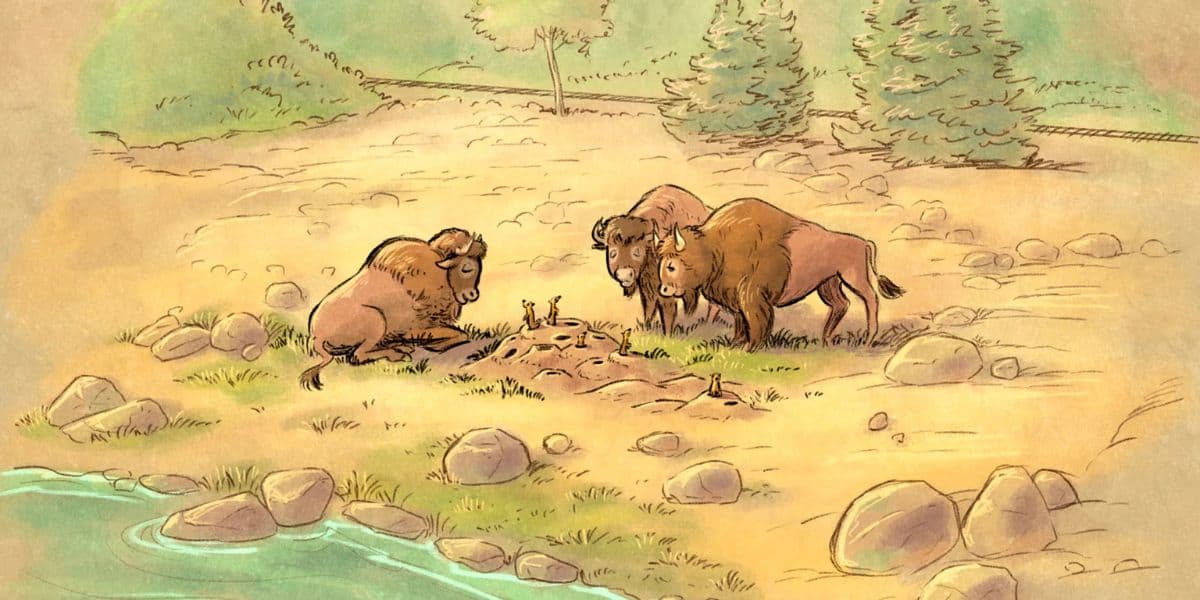 Bison in concept art for a new Rivers of the Far West scene