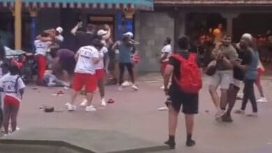 Guests brawling in Magic Kingdom in 2022