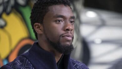 Chadwick Boseman as Black Panther in 2018 film