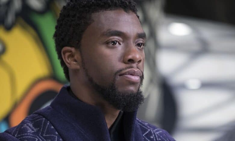 Chadwick Boseman as Black Panther in 2018 film