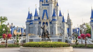 cinderella castle in magic kingdom