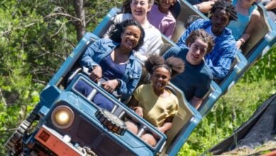 guests ride a roller coaster in Dollywood