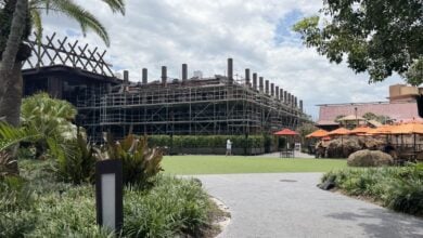A section of the theme park is being built, with scaffolding surrounding the new attraction. Nearby, palm trees sway and guests relax at brightly colored tables shaded by orange umbrellas.