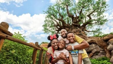 disney world family (guests) in front of tree of life in animal kingdom