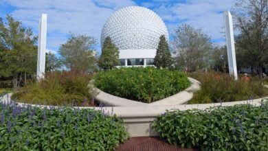 Spaceship Earth stands tall behind the World Celebration gardens at EPCOT
