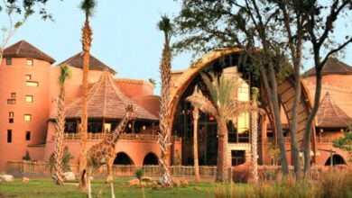 Step into a Disney World adventure at an African-inspired lodge featuring thatched roofs, towering windows, lush palm trees, and giraffes roaming the grounds—immerse yourself in a deluxe resort where world-class Disney amenities meet the spirit of safari. Reserve your epic October 2026 escape today.