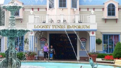 The Looney Tunes Emporium and a fountain at Six Flags Darien Lake