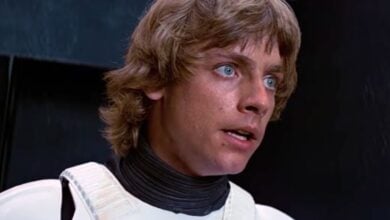 Luke Skywalker dressed as a stormtrooper