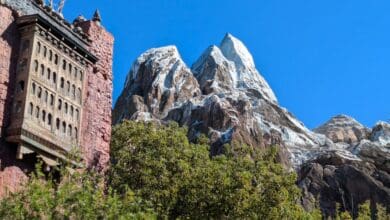The building next to Expedition Everest at Disney's Animal Kingdom Theme Park