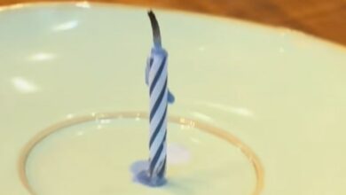 A single candle on an empty plate at a Disney World restaurant