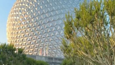 Spaceship Earth hidden behind trees inside Disney World's EPCOT theme park