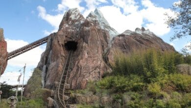 The main drop on Expedition Everest.