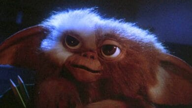 A close-up of Gizmo from Gremlins (1984) film