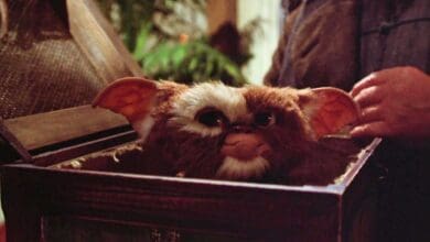 Gizmo in box in 'Gremlins' (1984)