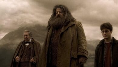 (L-R): Slughorn, Hagrid, and Harry Potter at Aragog's funeral in 'Harry Potter and the Half-Blood Prince'