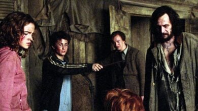Hermione Granger, Harry Potter, Remus Lupin, and Sirius Black
