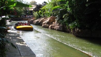A ride vehicle on Jurassic Park River Adventure