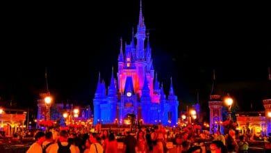Cinderella Castle at Magic Kingdom at night