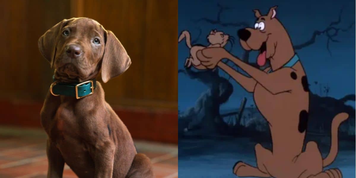 split image: on the left, scooby the pup from 'scooby-doo: origins' on the right, animated scooby from 1969 show