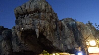 The entrance to Skull Island: Reign of Kong
