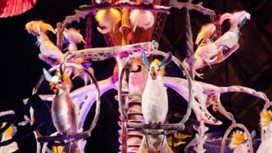 Audio-Animatronic birds in the Enchanted Tiki Room at Tokyo Disneyland