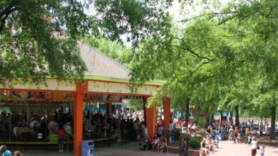 Guests waiting in line for a carousel ride at Carowinds.