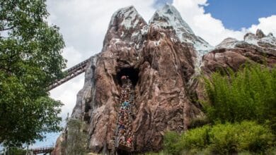 Expedition Everest at Disney’s Animal Kingdom.
