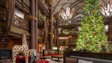 Disney World's animal kingdom lodge resort decorated for Chrismas