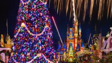 Christmas tree in front of Cinderella Castle at Magic Kingdom during holiday season.