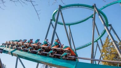 A thrill ride train climbing an inversion on a steel track.