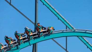 Roller coaster train ascending the lift hill of a teal track against a clear blue sky.