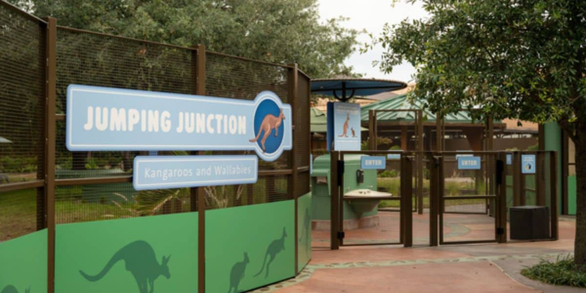 The Jumping Junction entrance at this kangaroo and wallaby wildlife park.