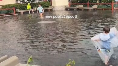 Children wading through floodwater at Epcot with a “new pool at Epcot!” text overlay.